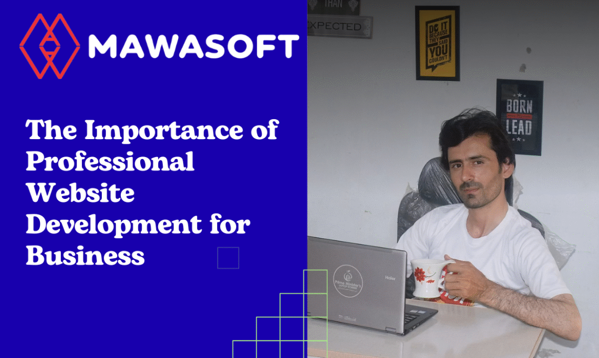 Professional Website Development
