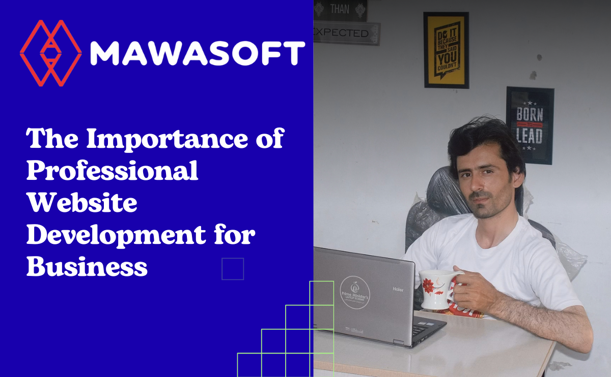 Professional Website Development